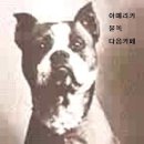 유일상사 이미지
