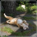 소낭 게스트하우스 이미지