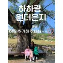 아이와 함께 부산 기차여행- 해운대 한화리조트 패밀리 오션뷰 (사우나 쿠폰)
