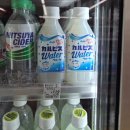 황금마트편의점 | 일본N번째방문 : 일본편의점털이(feat.세븐일레븐 ,로손, 패밀리마트 )꼼꼼리뷰