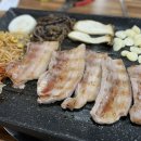 돈뜰꽃돼지