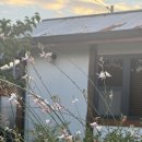 안도촌집 이미지