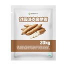 엔트