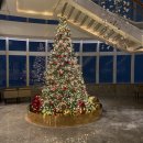 91stay | 시그니엘&amp;시그니엘 서울 STAY 리뷰