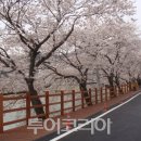 용당시장 이미지
