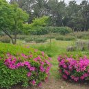 (유)아미산업 | 유튜브와 K-콘텐츠 레볼루션(冊)