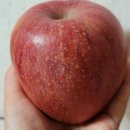 다담과일 이미지