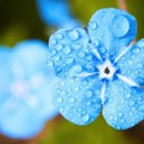 가야대학교(고령) | ⚔️ 금관가야와 대가야의 차이 — 두 철의 제국 비교