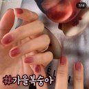 [울산네일추천] 울산 삼산 아이리스네일 후기
