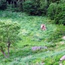 희희낙낙 이미지