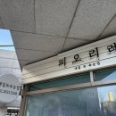 피오리레 이미지