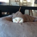 데이트커피 이미지