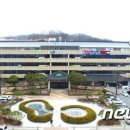판돈 이미지