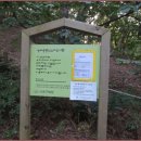 방배응봉 이미지