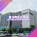 고등동 60-1 ~ 고등동 60-31 | 🩺 성남 고등동 최초 창고형 약국 방문 후기 (인기 품목 가격 총정리)