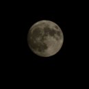 달달 무슨 달 이미지