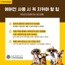 아크로벳 내과동물병원 이미지