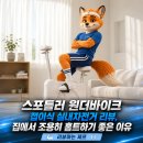 이바이크 | 스포틀러 원더바이크 접이식 실내자전거 리뷰, 집에서 조용히 홈트하기 좋은 이유