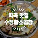 수정황소곱창 이미지