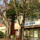 숲속 댕댕이(애견미용실) 이미지