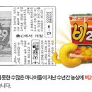 B29 이미지
