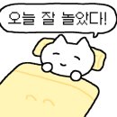세이우프