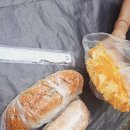 고성오조로 | 나혼산 유리 빵집 제주 성산 보룡제과 추천 내돈내산 후기
