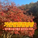 가은달빛캠핑장 이미지