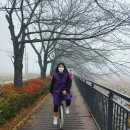 면천문화마을협동조합 네이버블로그