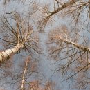 이천원 카카오 검색결과