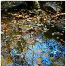 정방사길 이미지