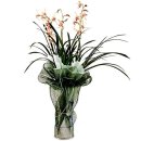 무괴아심 이미지