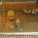 승미농장 이미지