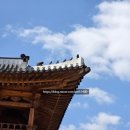 2025년 3월 국립세종수목원 방문 리뷰