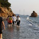 대부해솔길 1코스 이미지