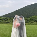 레오플라워 | 제주스냅 추천 (이테스냅 후기)