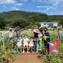 허수아비 이미지