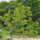 한덕농장 이미지