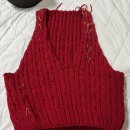 봄날세탁 | 뜨개기록] 뜨고 싶어서 작가님한테 사이즈 내달라고 빌었던 썰 푼다. (Feat.쿠키더니터 봄날베스트 브이넥)