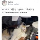 촨차이