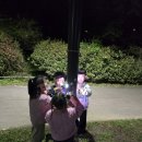 고고파티 이미지