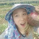 딸기엄마양파아빠 이미지