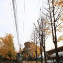 솔바람조경 이미지