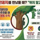 "멧돼지 보면 뛰지 말고 숨으세요"…세종소방 행동 요령 안내 이미지