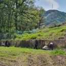 주)드림백세 이미지