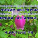 은혜 이미지