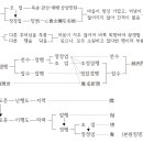 정토종 개론. 하 (完) 이미지