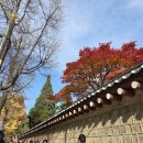 레오건축사사무소 | 하루모음 11월 25년