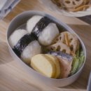 식물도감 이미지