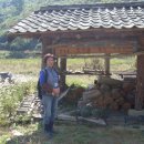 음수동 Daum카페
